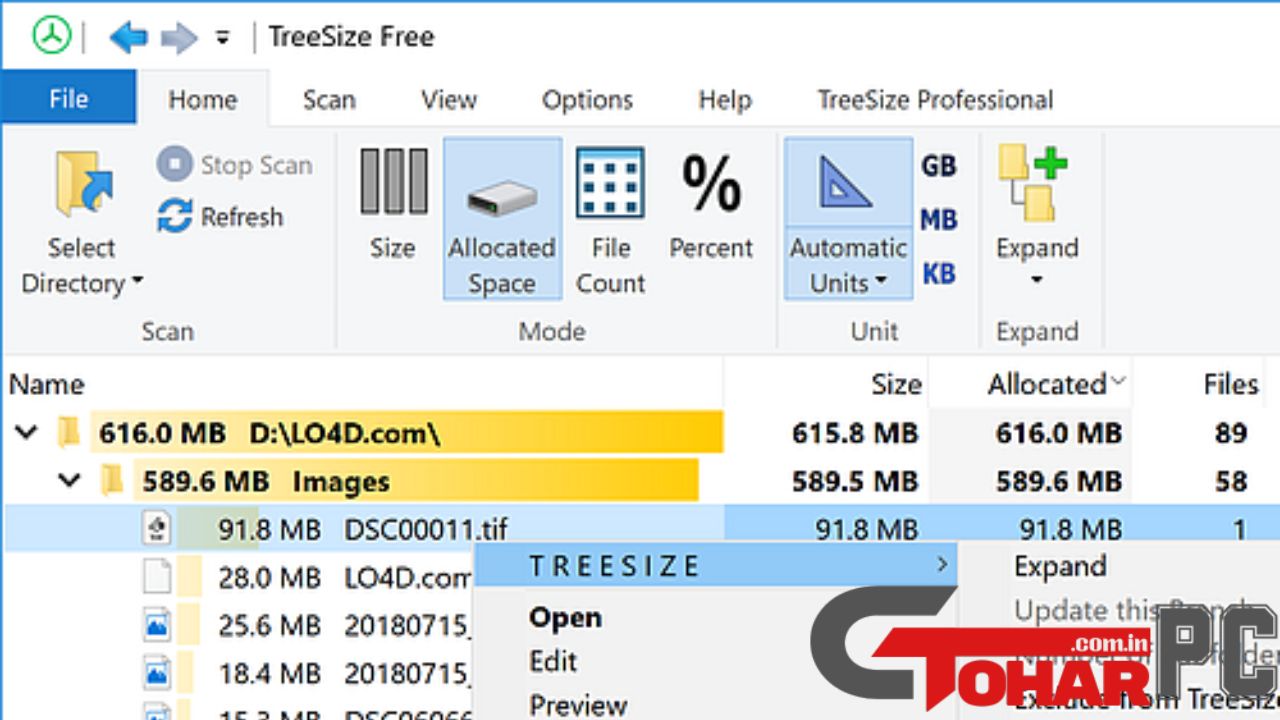 TreeSize Professional