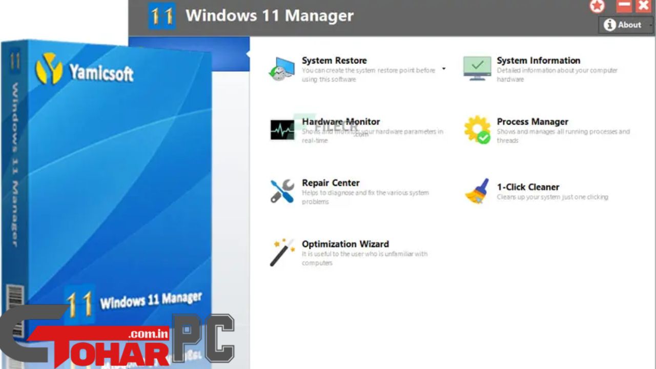 Windows 11 Manager