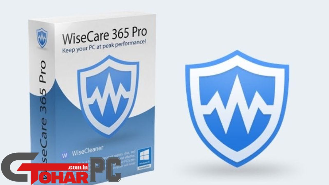 Wise Care 365 Pro