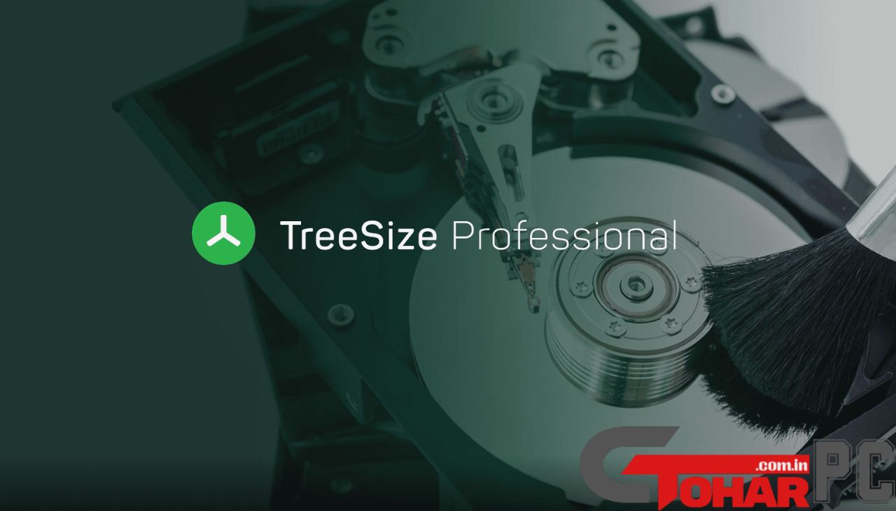 TreeSize Professional Full Version Torrent Download