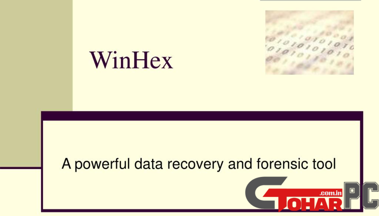 WinHex Pro