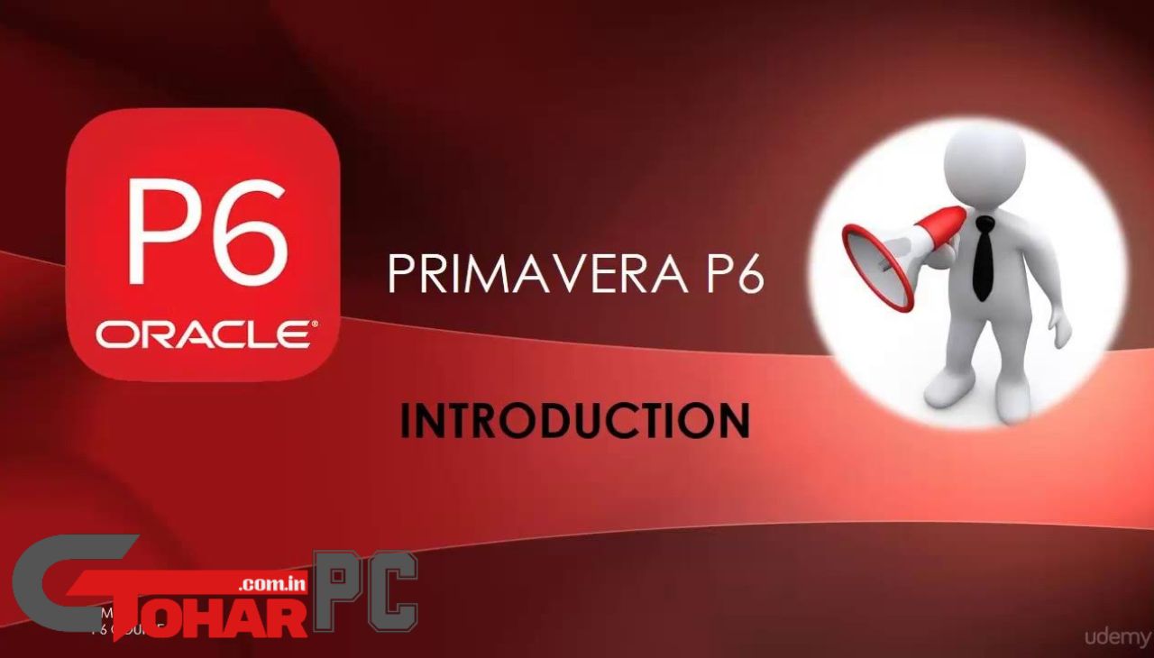 Primavera P6