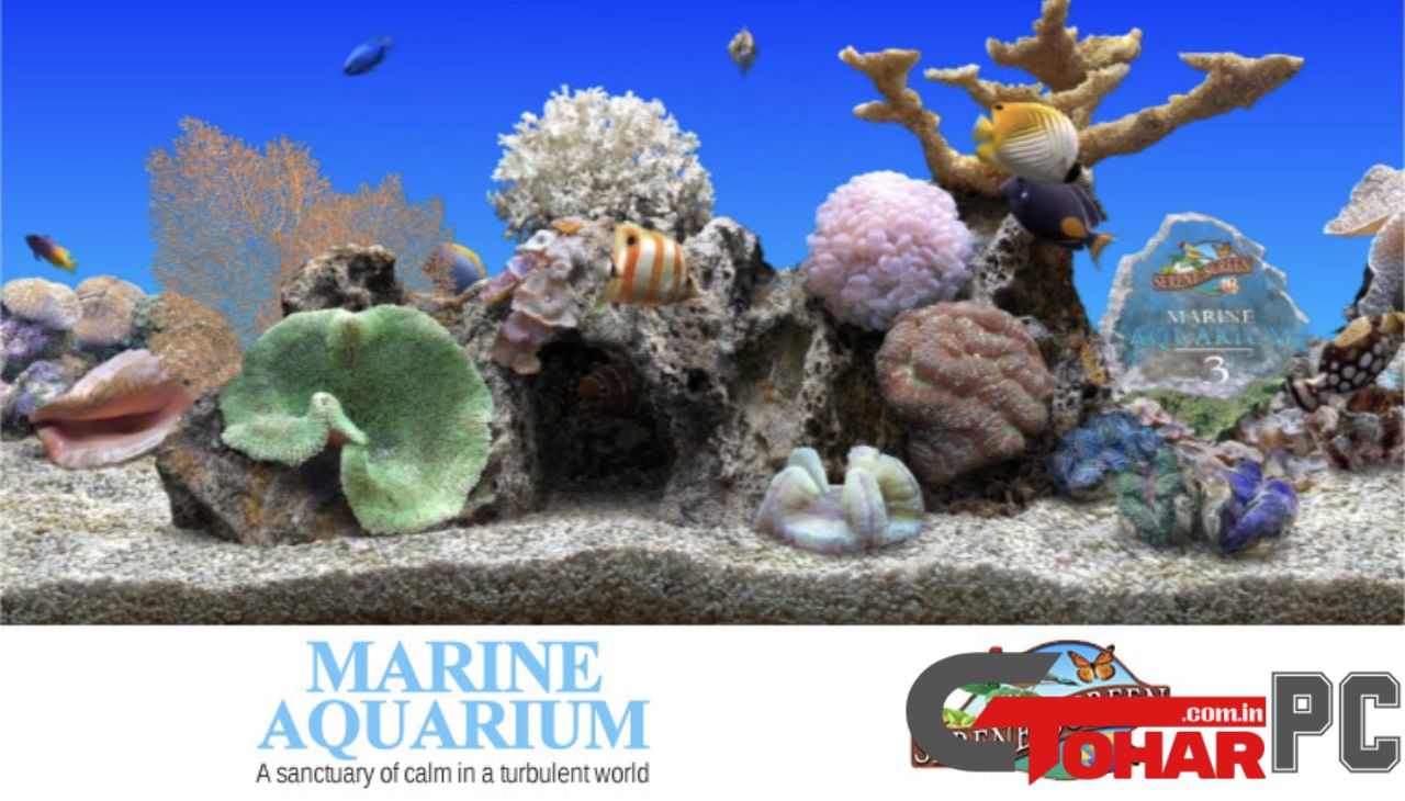 SereneScreen Marine Aquarium